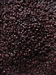 Black Beans